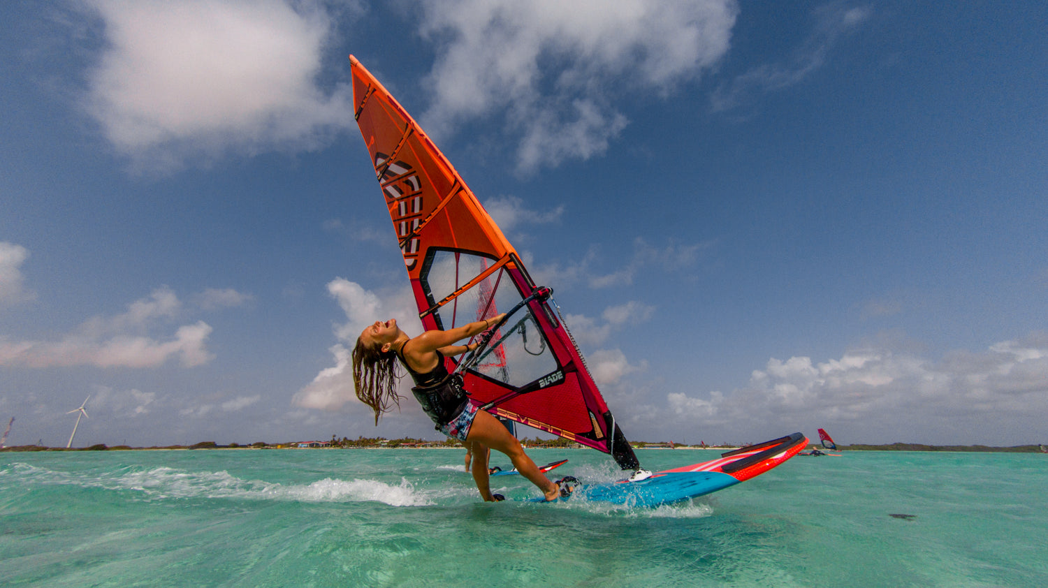 Extraordinary Lives - Indie Rae Bornhoft