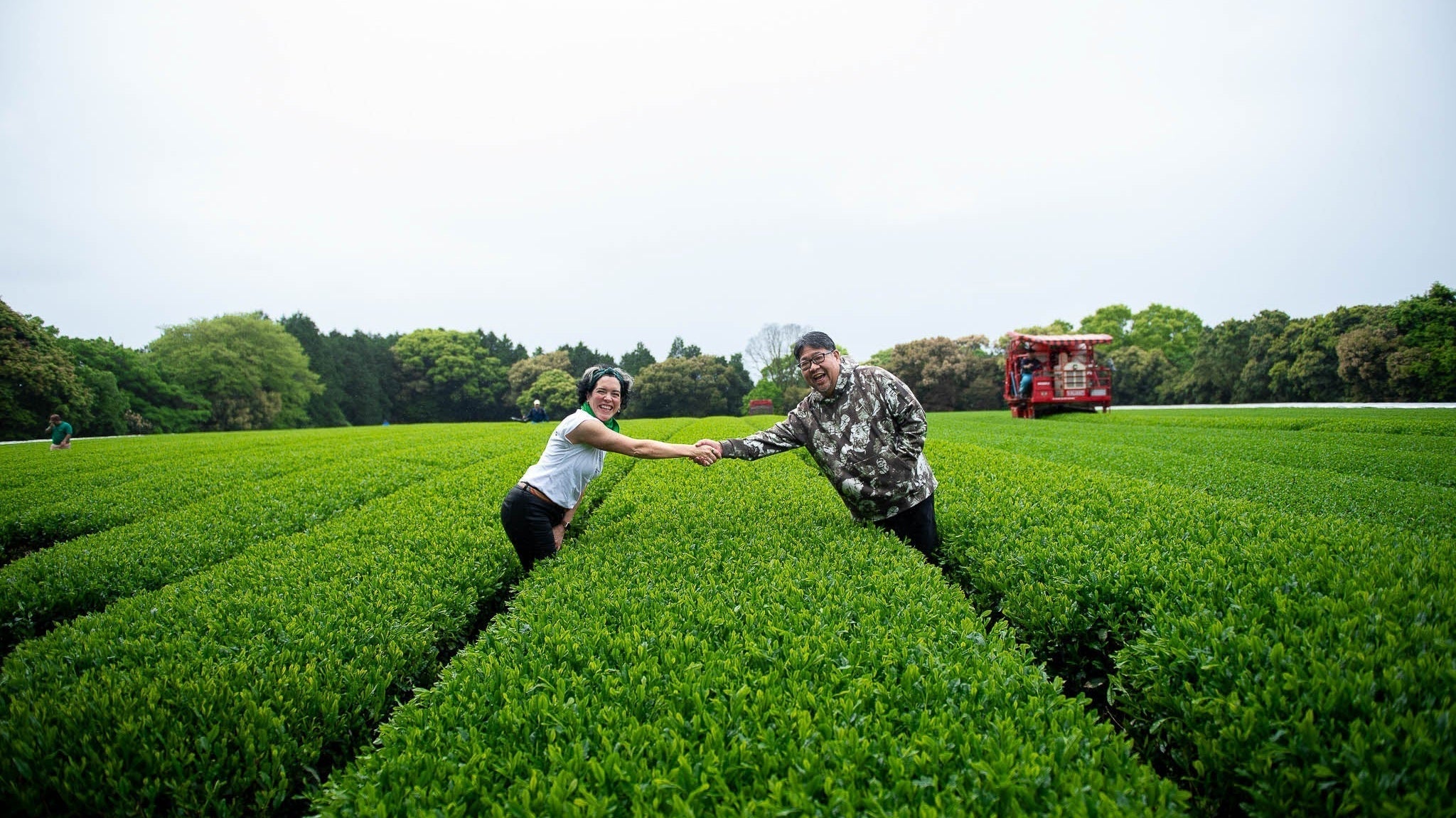 A Journey to Japan: Sourcing our Matcha