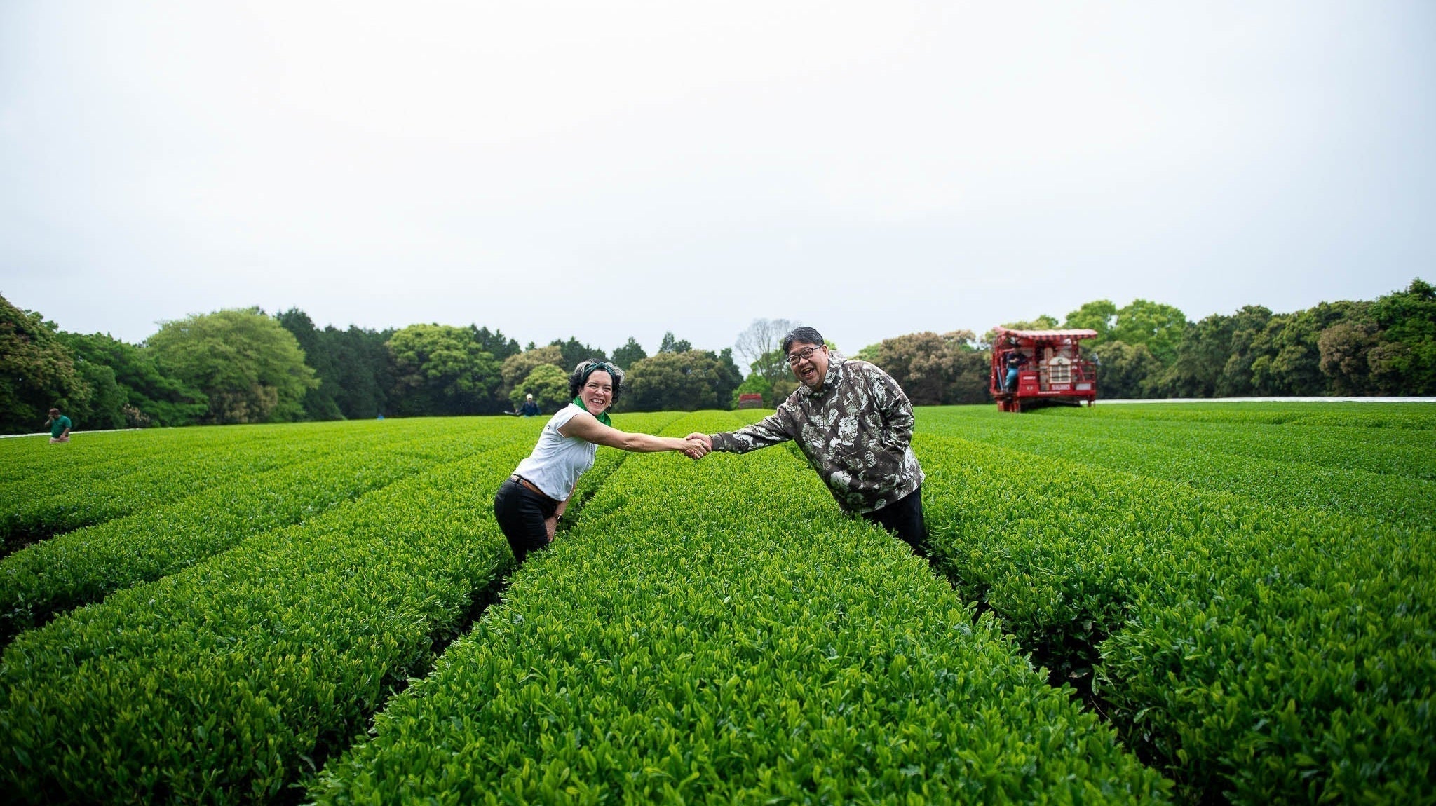 A Journey to Japan: Sourcing our Matcha