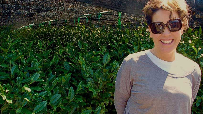 Matcha - the ultimate superfood