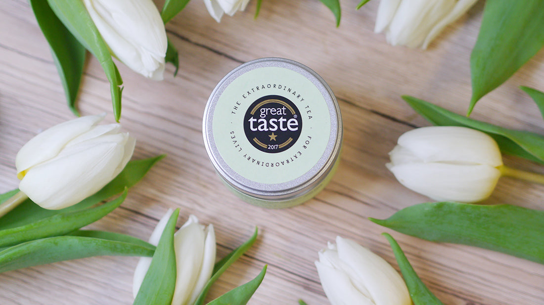 What is L-Theanine and Why Do I Need It?