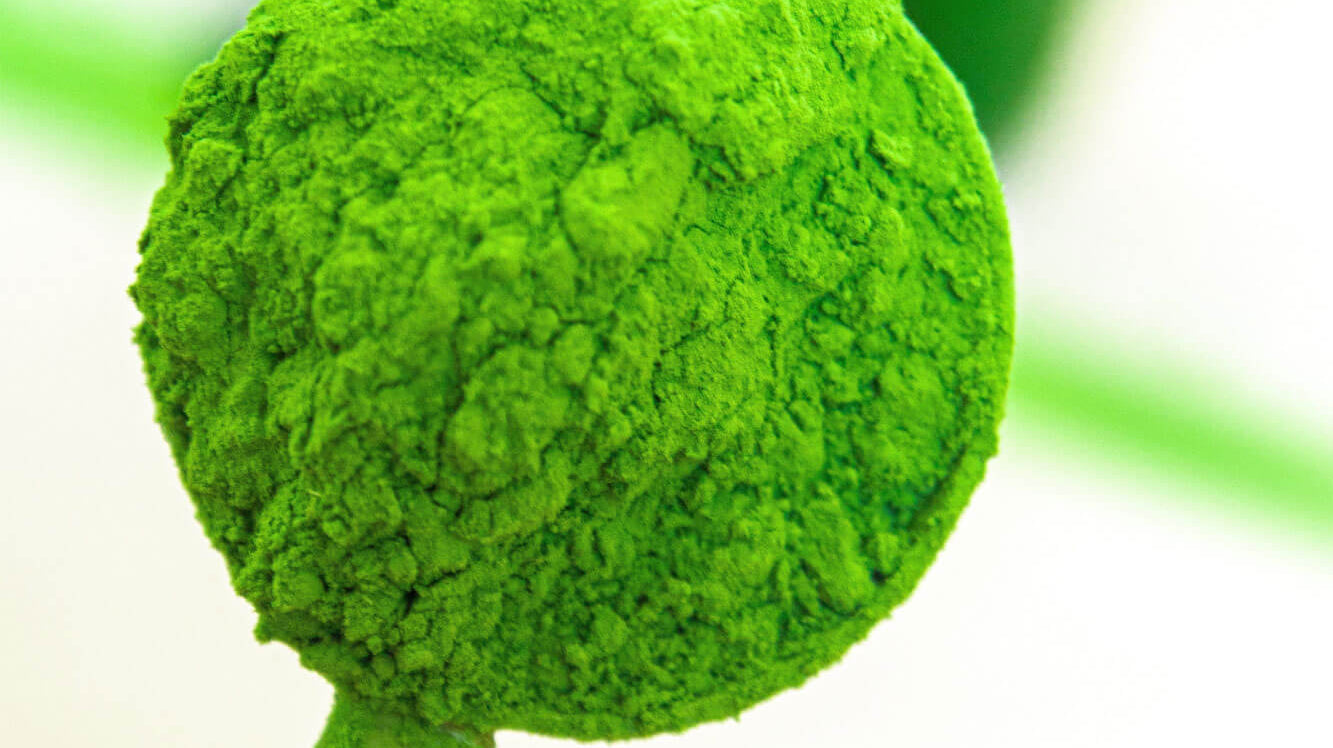 Are matcha tea bags as good for you as matcha powder?