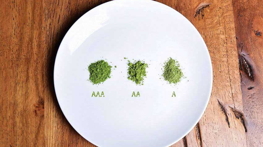 Which matcha is the best? 5 key things to check when buying matcha