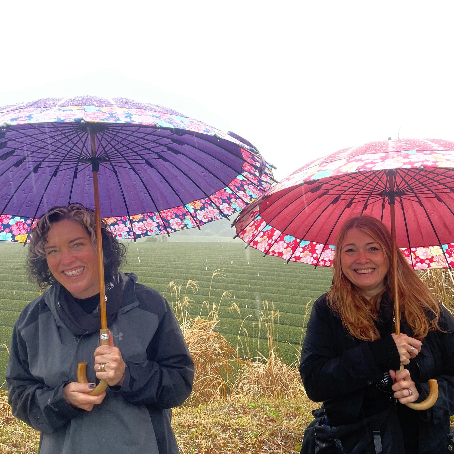 OMGTea team mebers in matcha tea field in Japan