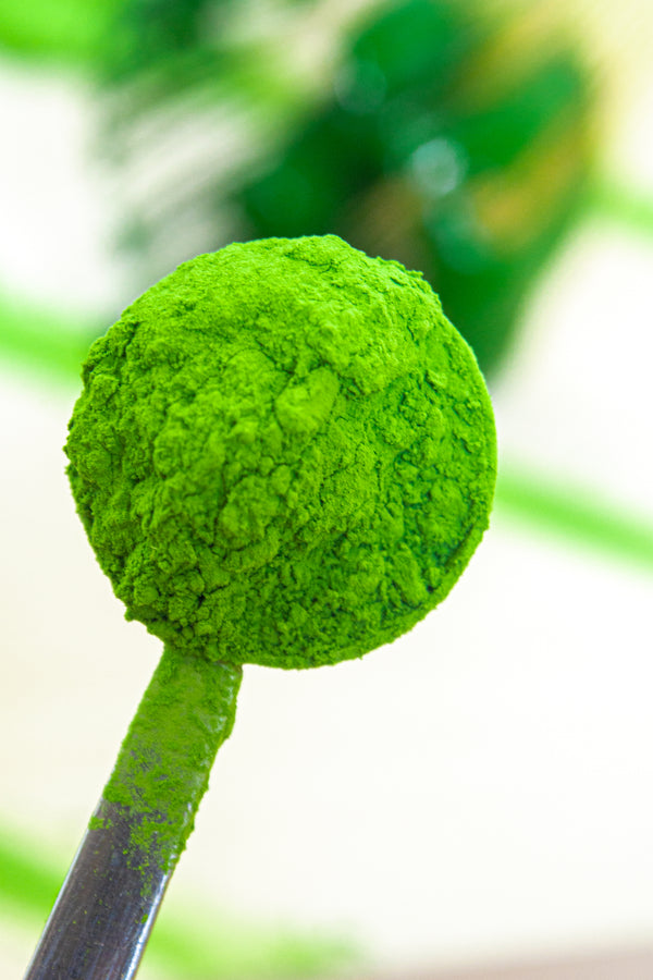 Are matcha tea bags as good for you as matcha powder?