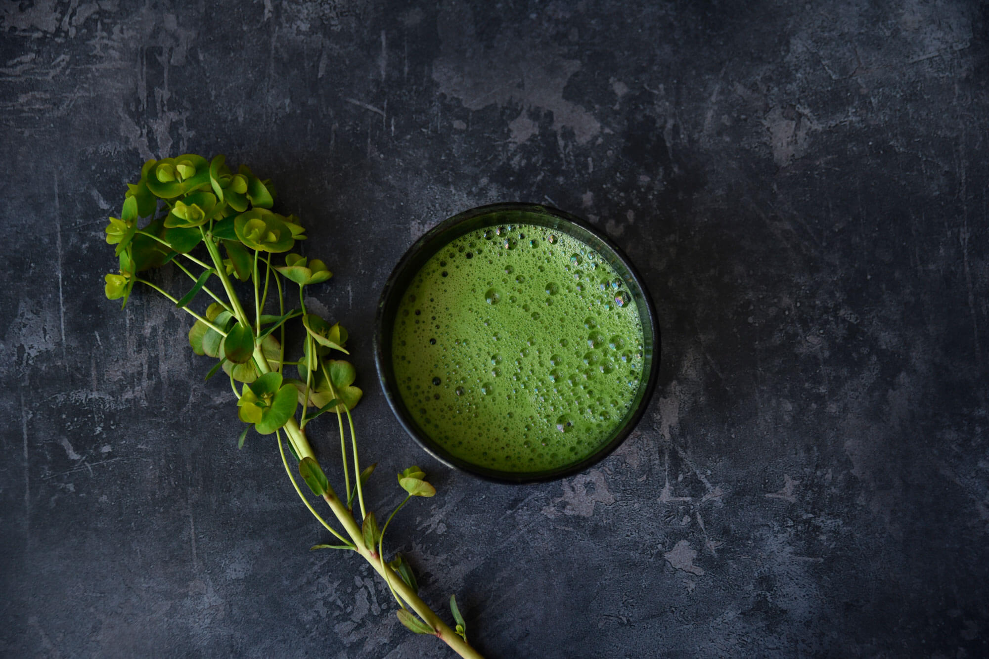 Matcha Challenge 2021: The Results are In!