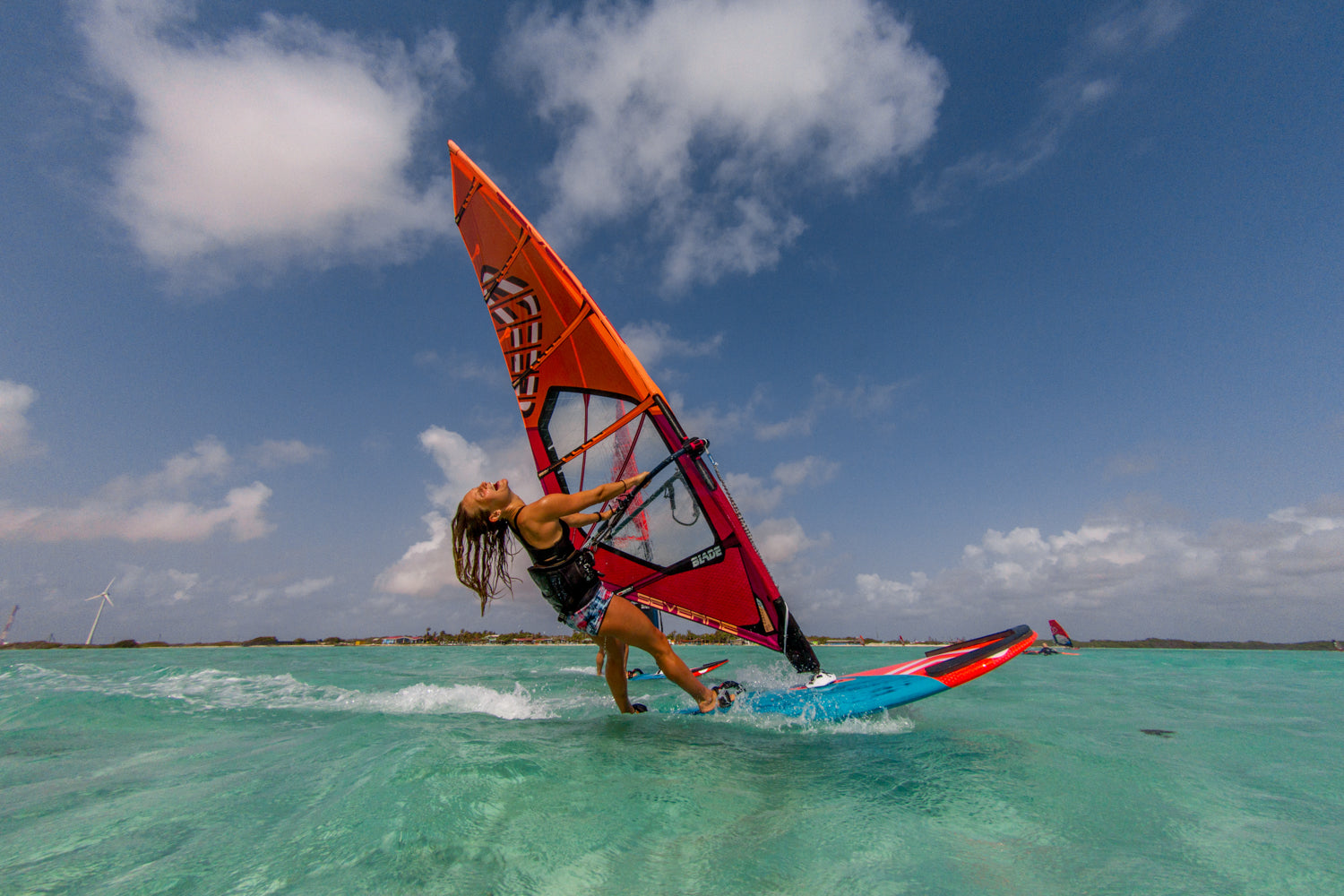 Extraordinary Lives - Indie Rae Bornhoft