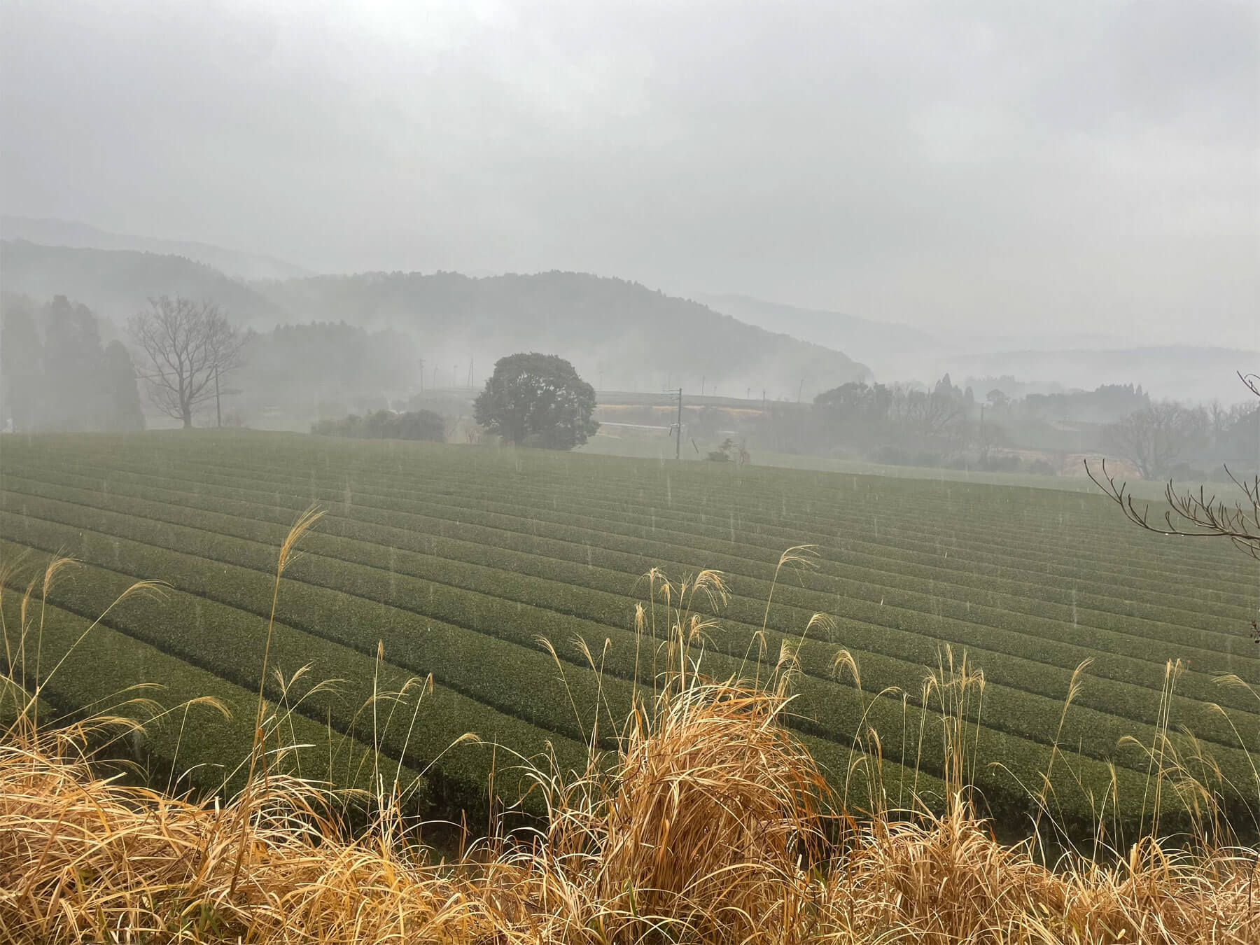 Unlock Your Inner Samurai This Spring