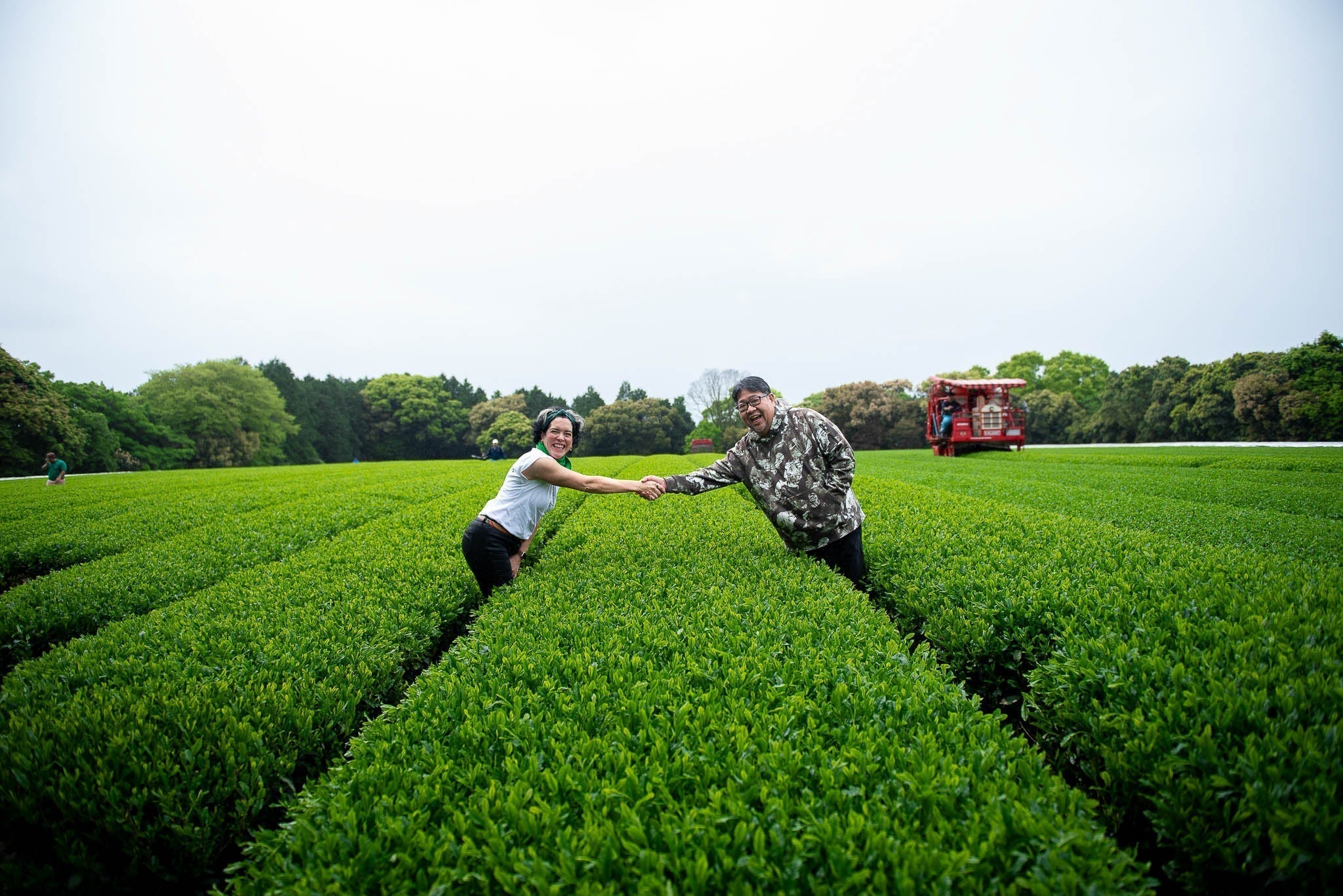 A Journey to Japan: Sourcing our Matcha