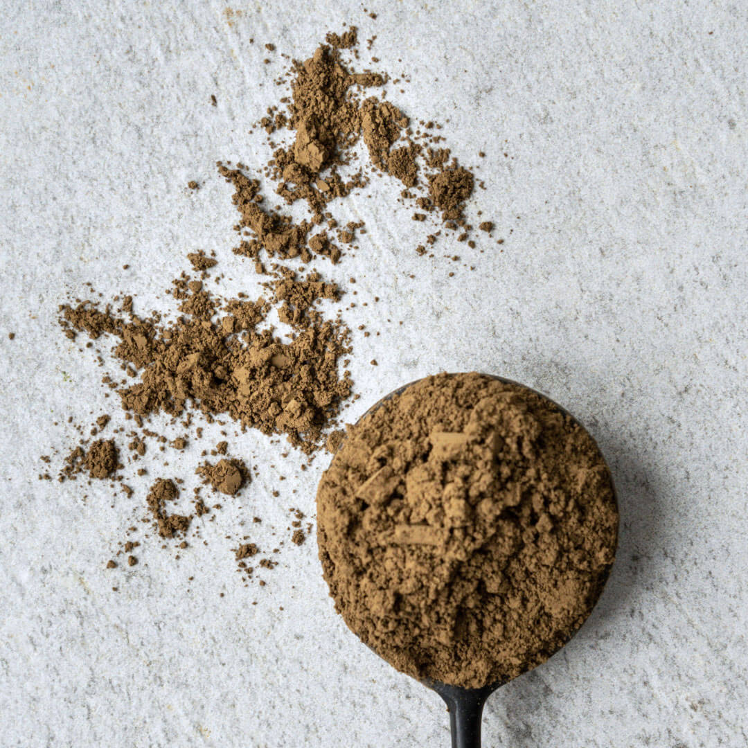 Hojicha-Lifestyle-6